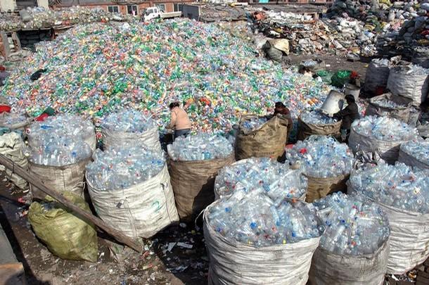reciclaje-de-botellas-pet-genera-reditos-economicos