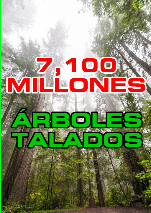 reciclaje de madera reciclaje de madera
